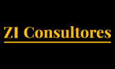 ZI CONSULTORES